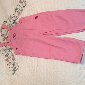Toddler carhartt overalls